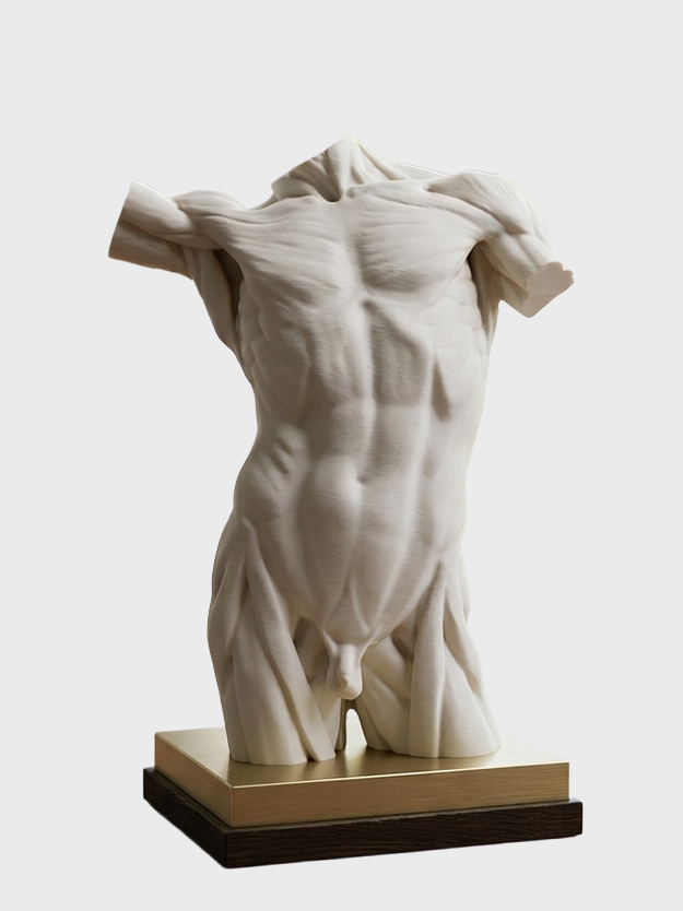 Classical Male Torso Study – Artist Reference Sculpture