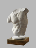 Gaddi Torso™ — Artist Study Collectible