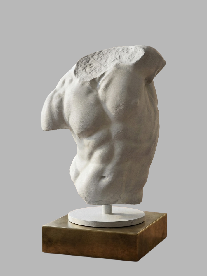 Gaddi Torso™ — Artist Study Collectible